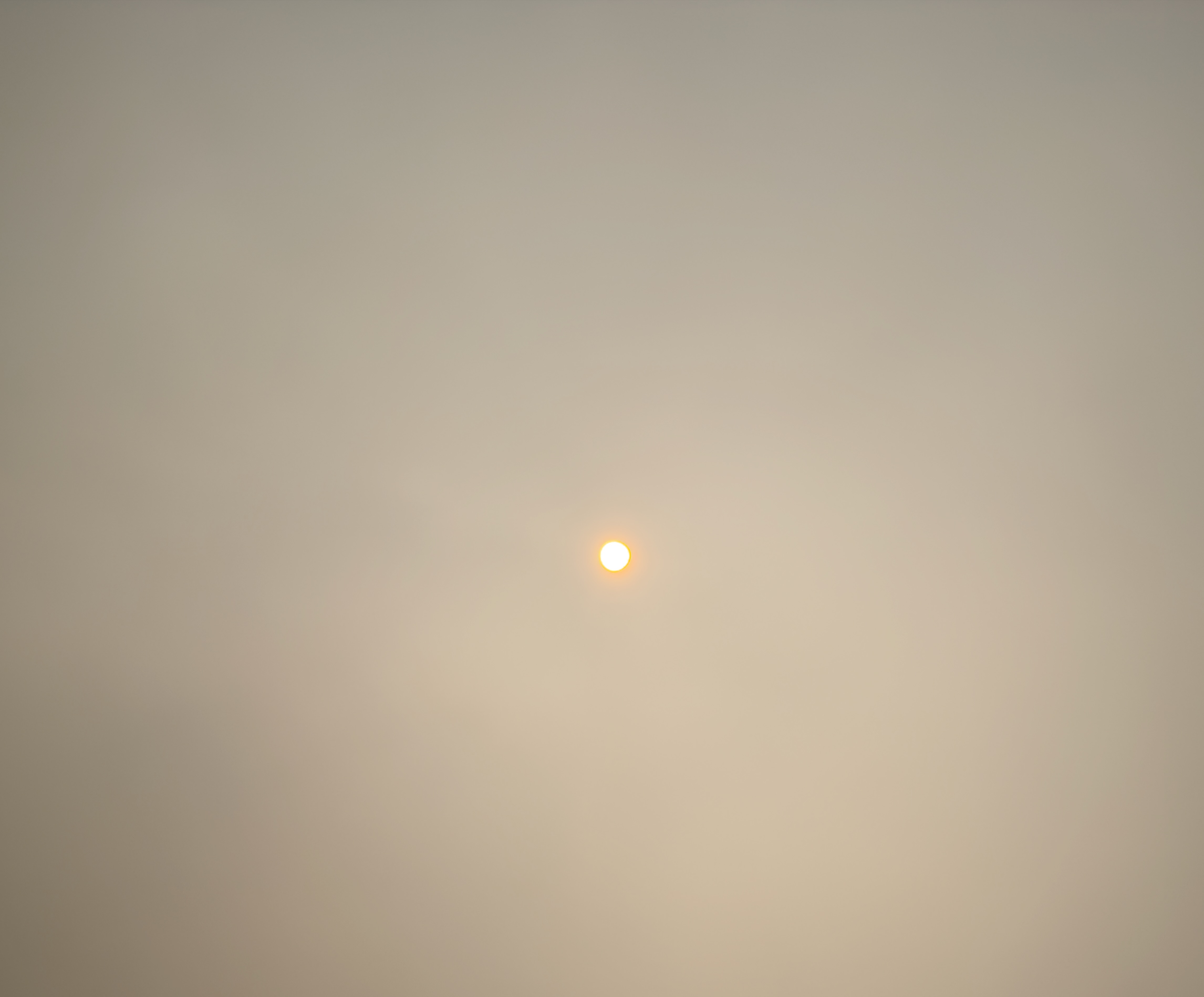 Featured image for Star Boston Wildfire Report