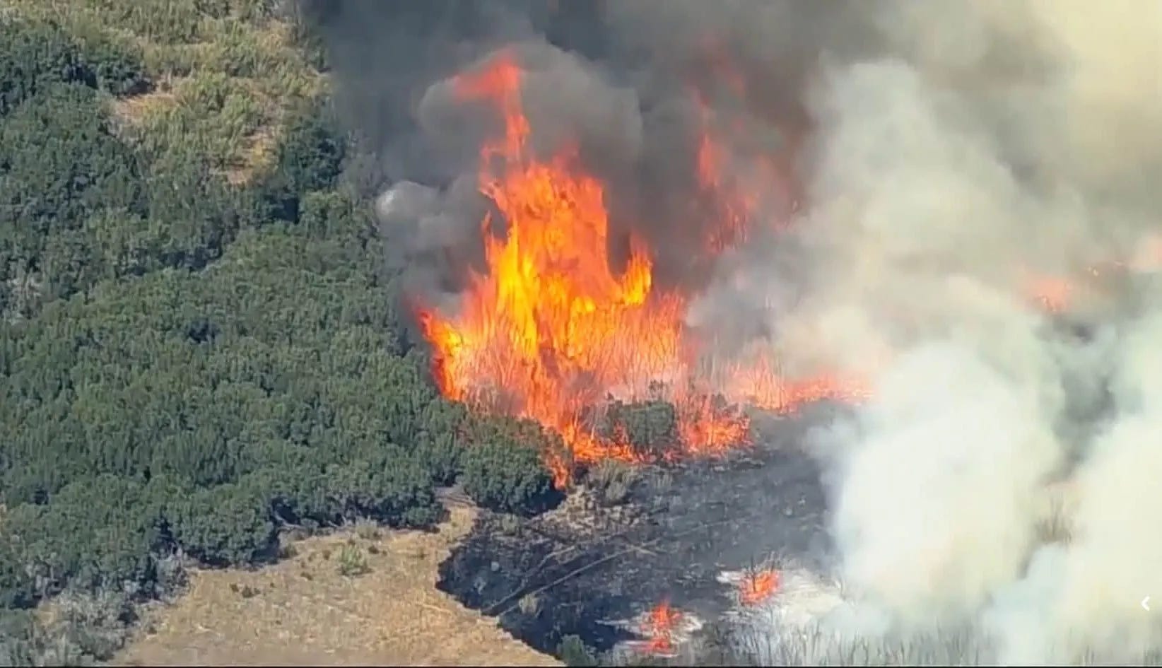 Wildfires in Texas: Ross Fire Updates